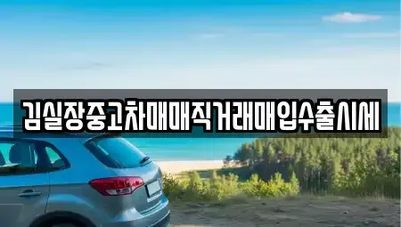 서울 종로구 행촌동 중고차매입 전문 김실장중고차매매직거래매입수출시세