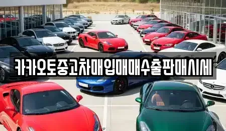 서울 종로구 행촌동 중고차매입 전문 카카오토중고차매입매매수출판매시세