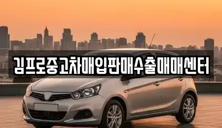 서울특별시 양천구 신월동 중고차매입 전문 김프로중고차매입판매수출매매센터