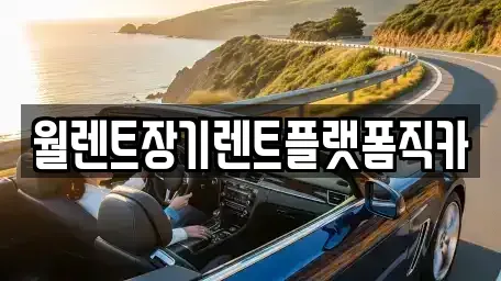 서울특별시 종로구 교북동 렌트카 전문 월렌트장기렌트플랫폼직카