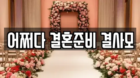 어쩌다 결혼준비 결사모