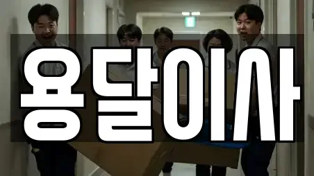 용달이사