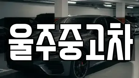 울산 울주군 두서면 장기렌트카,중고차,렌트카,단기렌트카,중고차매입,중고차매매