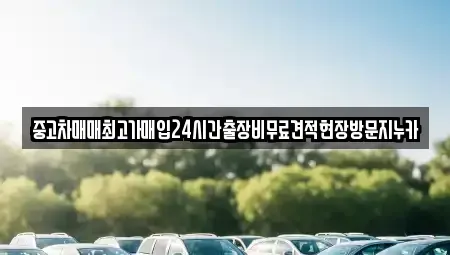 인천 중구 송학동2가 중고차매매 전문 중고차매매최고가매입24시간출장비무료견적현장방문지누카