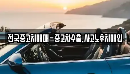 전남 목포시 상락동1가 중고차매입 전문 전국중고차매매-중고차수출,사고노후차매입