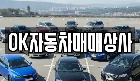 전남 여수시 둔덕동 중고차 전문 OK자동차매매상사