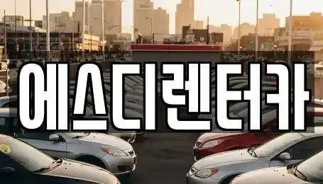 전북 익산시 신동 장기렌트카 전문 에스디렌터카
