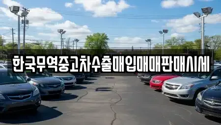 전북 익산시 신동 중고차 전문 한국무역중고차수출매입매매판매시세