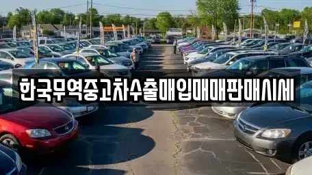 전북특별자치도 김제시 흥사동 중고차매입 전문 한국무역중고차수출매입매매판매시세