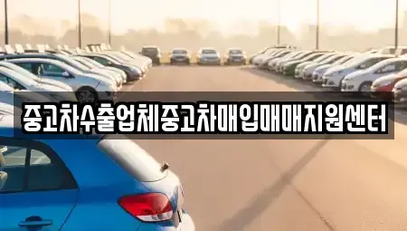 전북특별자치도 정읍시 시기동 중고차매입 전문 중고차수출업체중고차매입매매지원센터