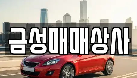 충남 논산시 등화동 중고차 전문 금성매매상사