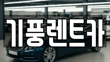 충청남도 공주시 옥룡동 렌트카 전문 기풍렌트카