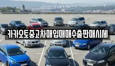 충청남도 공주시 옥룡동 중고차 전문 카카오토중고차매입매매수출판매시세