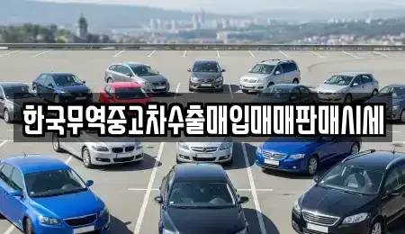 충청남도 공주시 옥룡동 중고차매매 전문 한국무역중고차수출매입매매판매시세