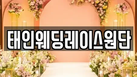 태인웨딩레이스원단