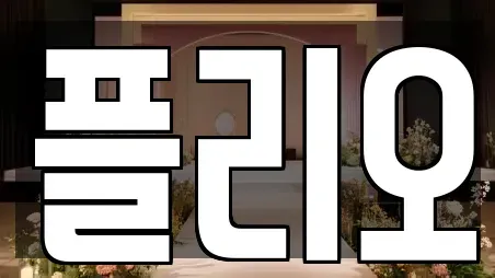플리오